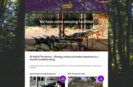 Home Page in 2017